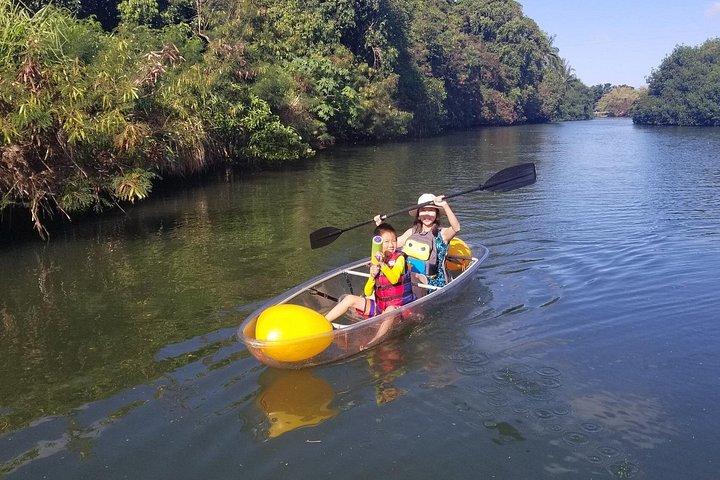 Clear Bottom Kayak - Guaranteed to see Turtles!