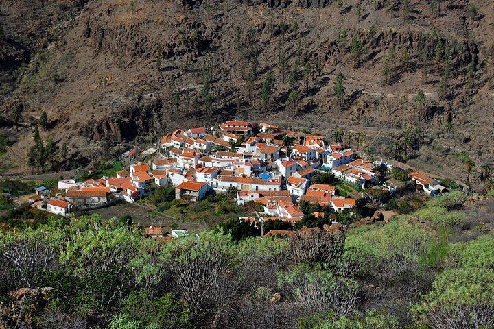 Excursion privée à terre à Gran Canaria le continent miniature
