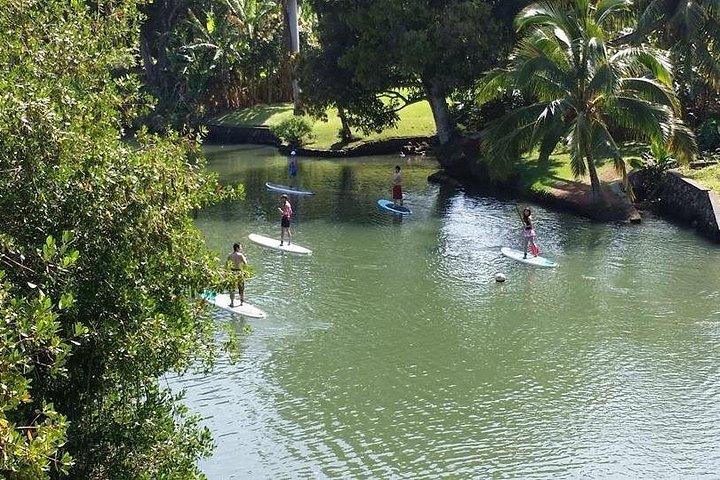 Stand Up Paddle Nature and Turtle tour-Guaranteed to see turtles