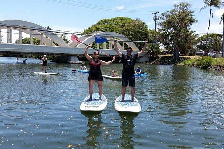 Stand Up Paddle Nature and Turtle tour-Guaranteed to see turtles