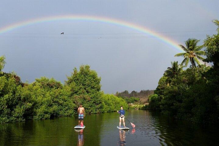 Stand Up Paddle Nature and Turtle tour-Garantido para ver tartarugas