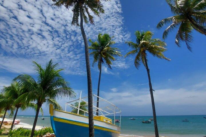 Exclusive Salvador City Tour with Beachtime Swim Stop