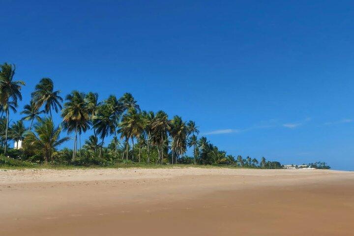 Exclusive Salvador City Tour with Beachtime Swim Stop