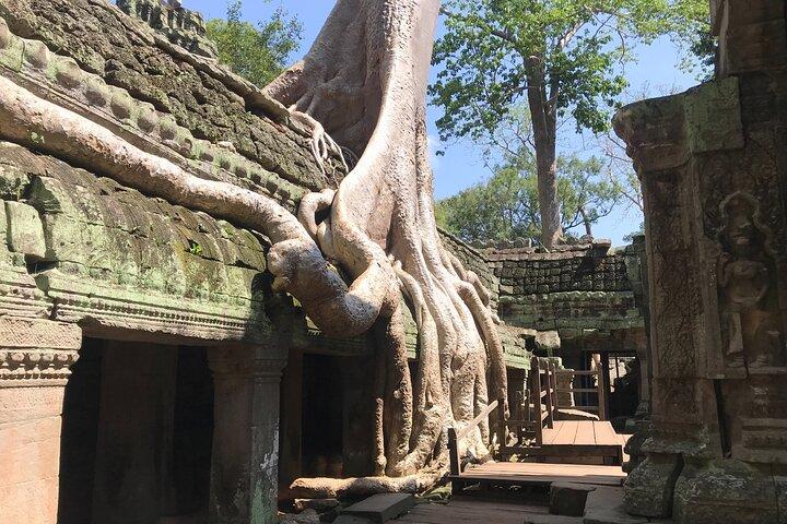 Angkor Wat Sunrise Tour