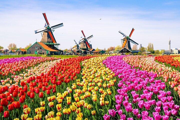 Amsterdam Pass: 45+ Things To Do - Includes Rijksmuseum