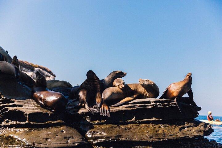 Noleggio kayak per due persone a La Jolla