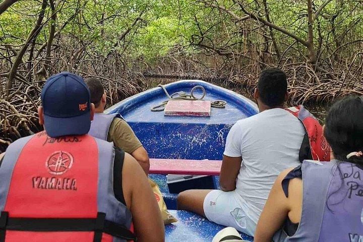カリブ日帰りツアー：イスラ・グランデ、マメイ、モンキーアイランド＆ポルトベロ