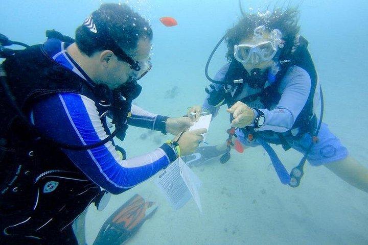 漁村からスキューバダイビングを発見