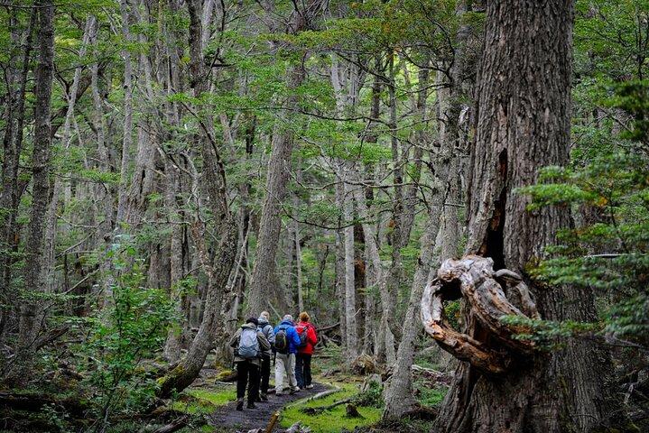 Pernottamento a Ushuaia - Trasferimenti aeroportuali, Parco nazionale e laghi della Terra del Fuoco!