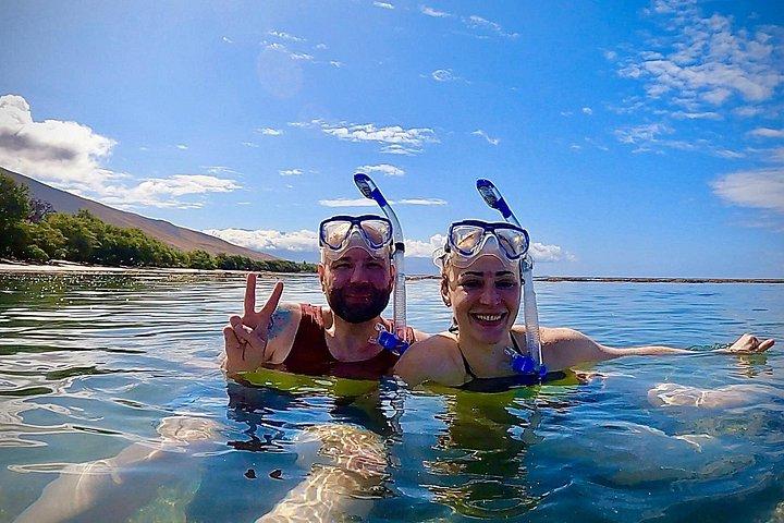 タートルタウンの海岸から海洋生物学者のガイド付きシュノーケルツアー