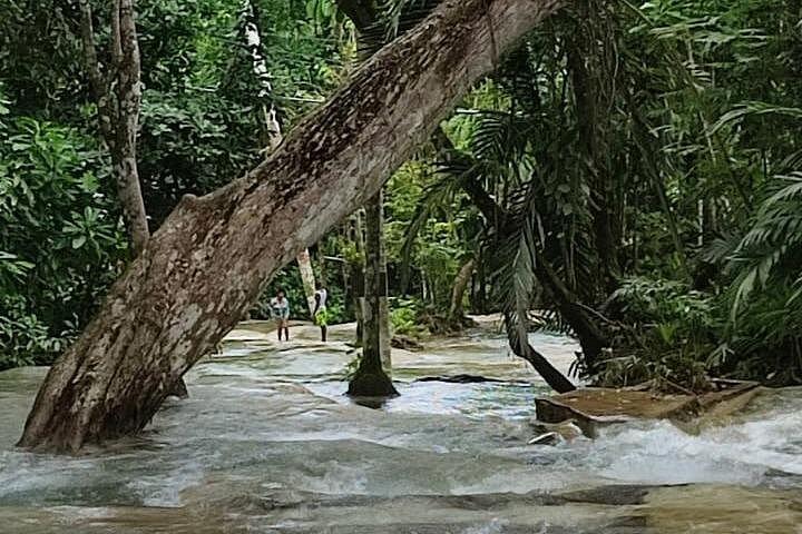 Bob Marley 9 Miles, Dunn's River from Montego Bay.
