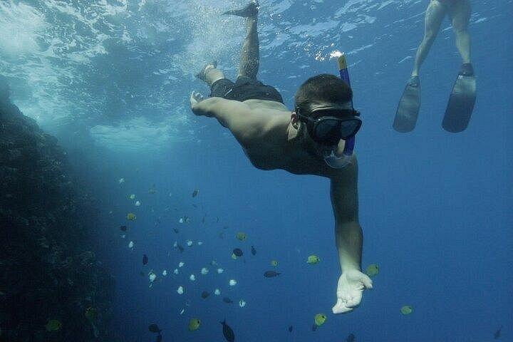 Maui: Private Luxury Charter Experience