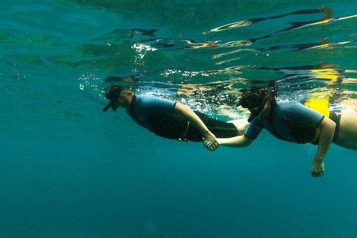 Maui: Private Luxury Charter Experience