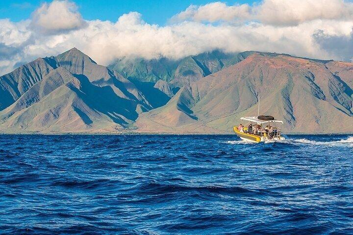 Lanai Deluxe Dolphin Adventure og 3 snorkelsteder