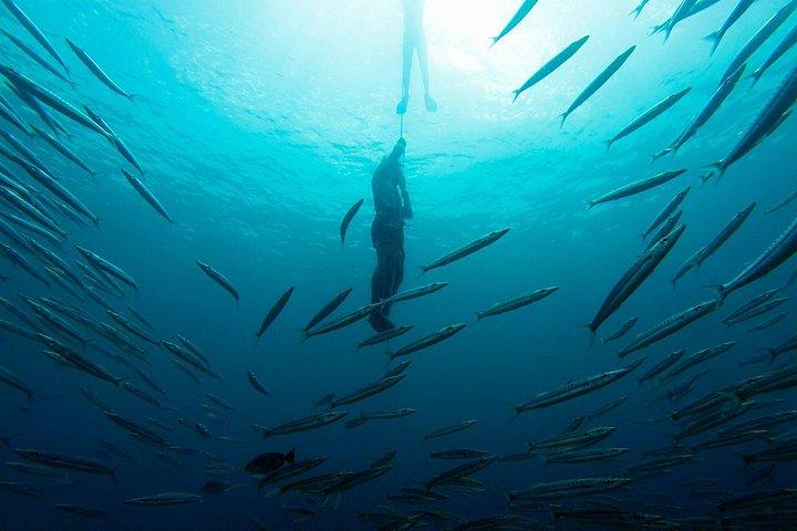 Freediving in Phuket - SSI - AIDA - Molchanovs - PADI