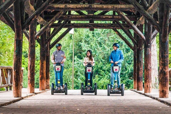 Segway Grand Tour of Lyon - 2h