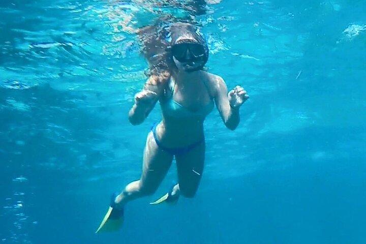 イルカとシュノーケリング付きエグモントキー島4時間ツアー
