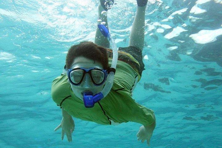 Discover Scuba Diving in Montego Bay-ONE Tank (First time Diving)
