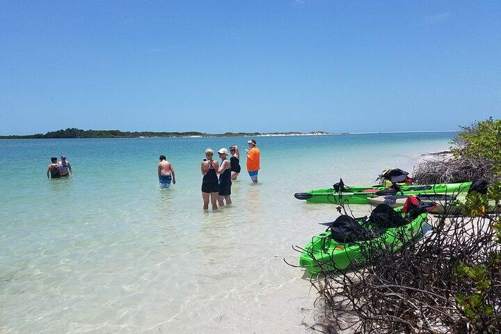 Begeleide Kayak EcoTour van Beautiful Shell Key Preserve