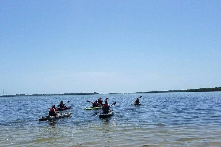Begeleide Kayak EcoTour van Beautiful Shell Key Preserve