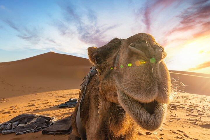 Tour di 3 giorni nel deserto da Fes a Marrakech passando per Merzouga