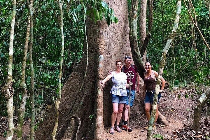 Caminhada guiada pela Mystic Ebano Rainforest na Costa Rica