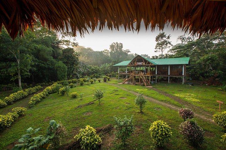 Rainforest Peru 3 dagars rundtur
