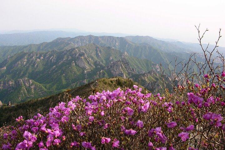 2 dagars privat rundtur: Mt Seorak & Naksansa Temple & Nami Island "från Seoul"