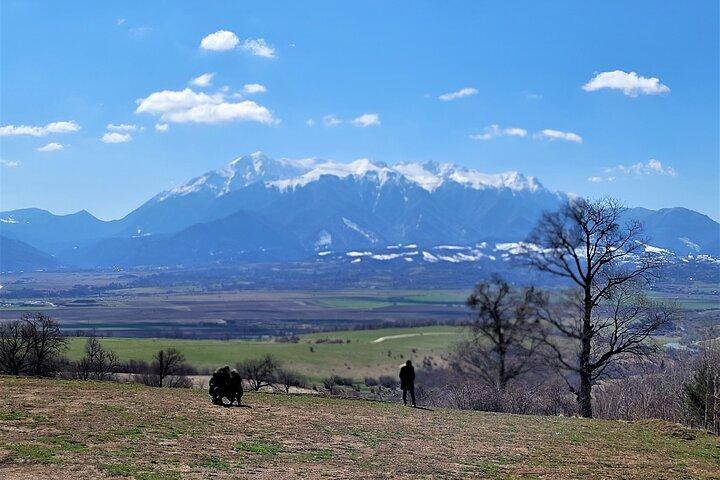 Bran Castle & Bear Sanctuary from Brasov - Optional Peles Castle