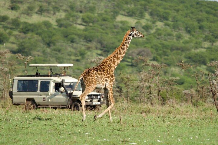 タンザニアでの4日間のサファリ