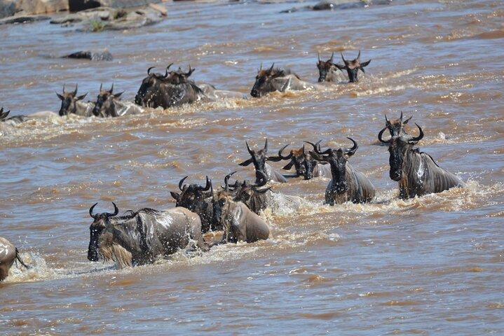 4 dagars Serengeti Heritage Safari