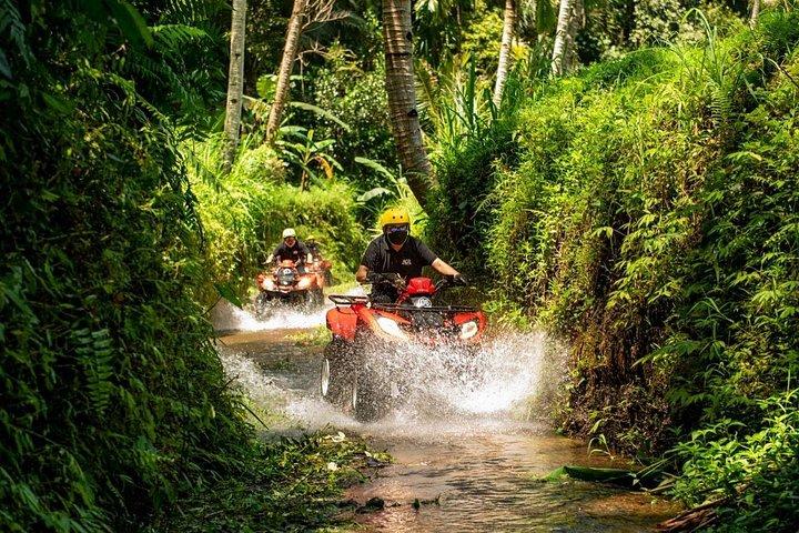 Quad Ride e Ubud Tour