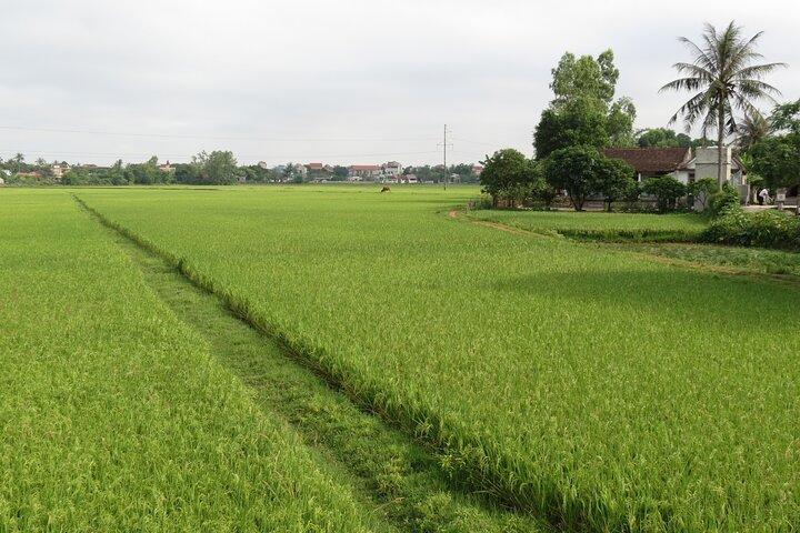ドンホイ市からパラダイスフォンニャ洞窟