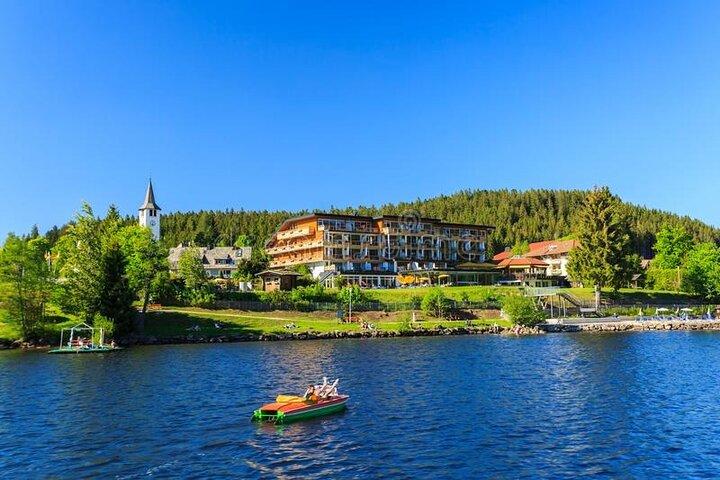 Tour privato di un'intera giornata da Zurigo alla Foresta Nera del Lago Titisee