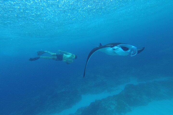 Nusa Penida Schnorchelpaket