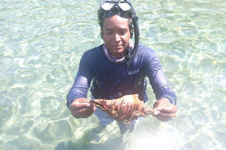 Tayrona de barco: Cinto, Playa Cristal e Concha com almoço incluído.