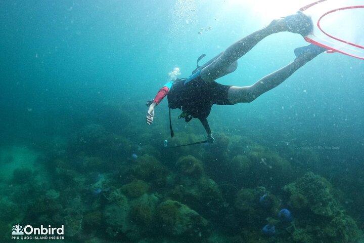 [GRUPPE] SCUBA DIVING für zertifizierte Taucher in Phu Quoc Island