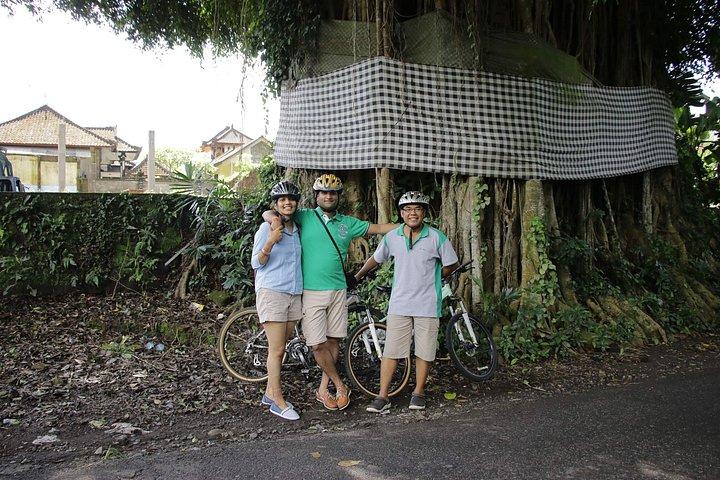 Bali Countryside Eco Cycling Tour inklusive Mittagessen