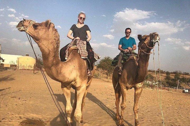 食事付きジョードプルからラクダ乗りとジープ サファリでオシアン寺院を訪問