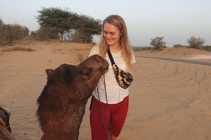 食事付きジョードプルからラクダ乗りとジープ サファリでオシアン寺院を訪問