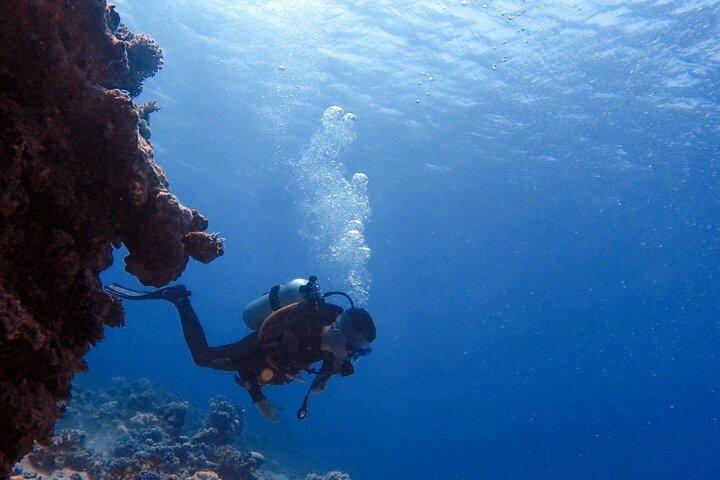 Guidat dykäventyr i Aqaba