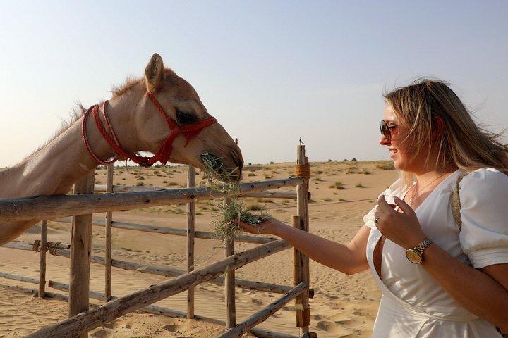 Dubai: Quad-Tour mit Kamelritt, Sand Boarding & BBQ