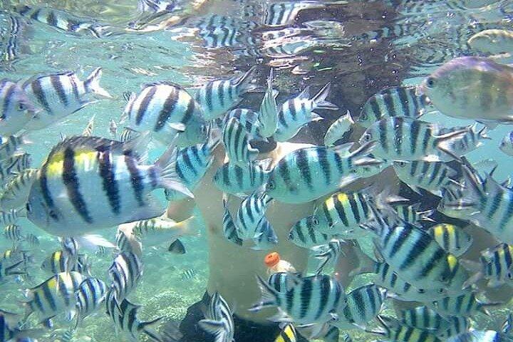 Viagem de pesca em Kuta Lombok