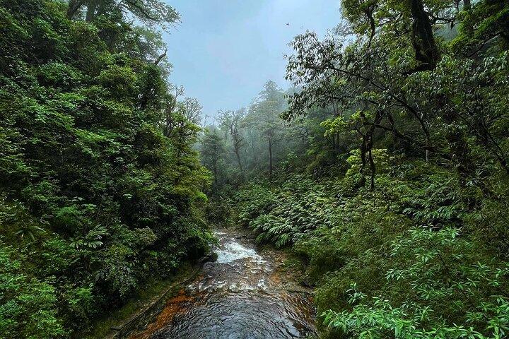 Besök Love Waterfall & Luscious Nature-vandring med fantastisk utsikt
