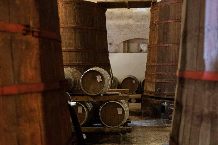 Tour privado de comida y vino en la bodega con degustaciones.