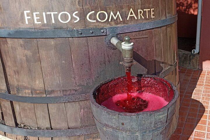 Tour delle Cantine San Paolo