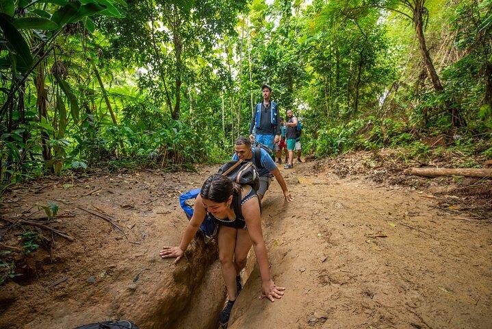 Top Rated El Yunque Rainforest & Waterslide – SmallGroup Tour