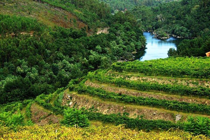 Alvarinho Wine Private Tour from Porto – Melgaço & Vinho Verde