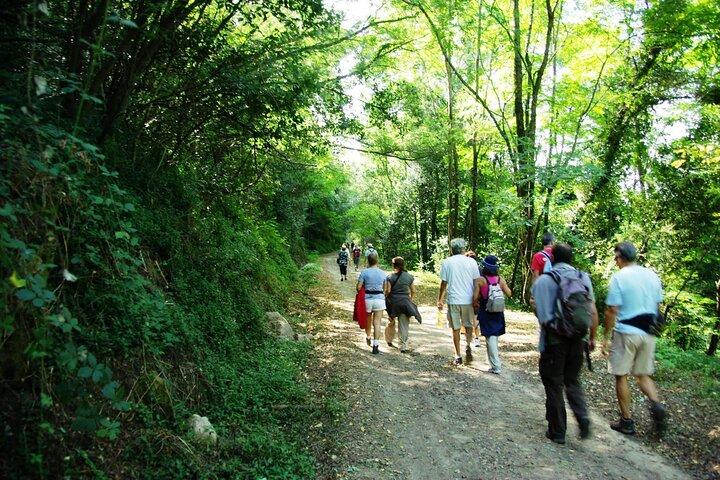 Alvarinho Wine Private Tour from Porto – Melgaço & Vinho Verde