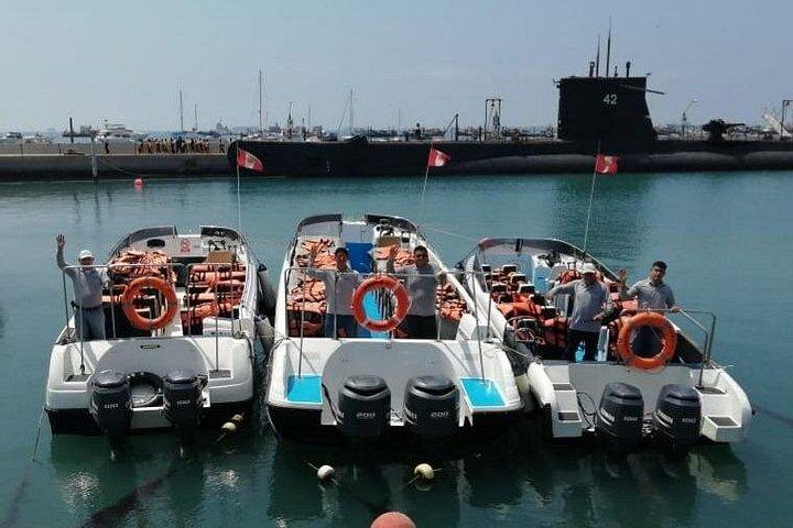 リマ ペルー アシカ、歴史、パロミノ カヤオ諸島